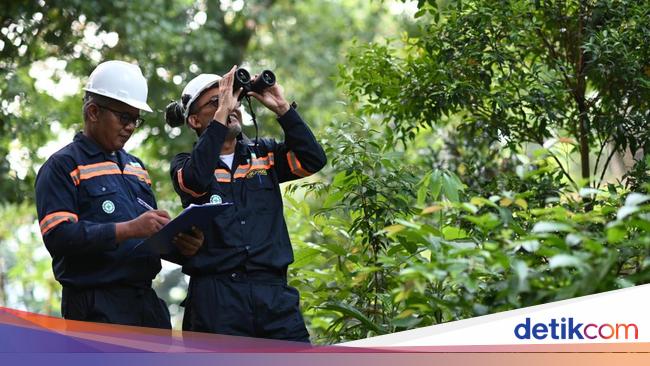 Catat Kinerja Positif, MIND ID Didorong Berperan Aktif untuk Capai NZE