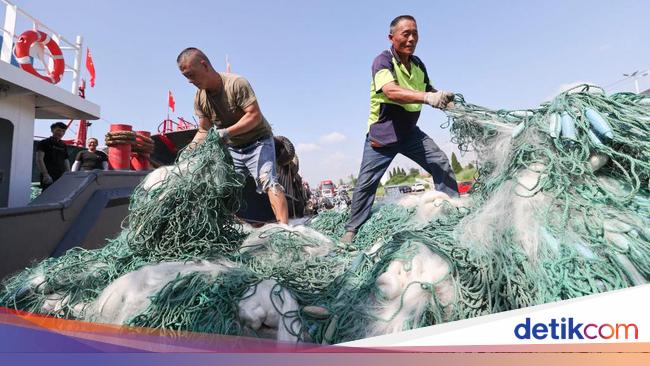 Tangkap Ikan Jangan Rakus, Nanti Populasinya Bisa Tergerus