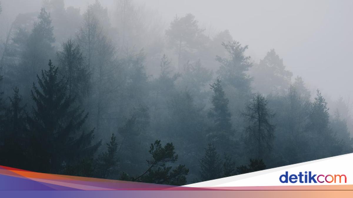 Cuaca Jogja Hari Ini: Kaliurang Berkabut di Malam Hari
