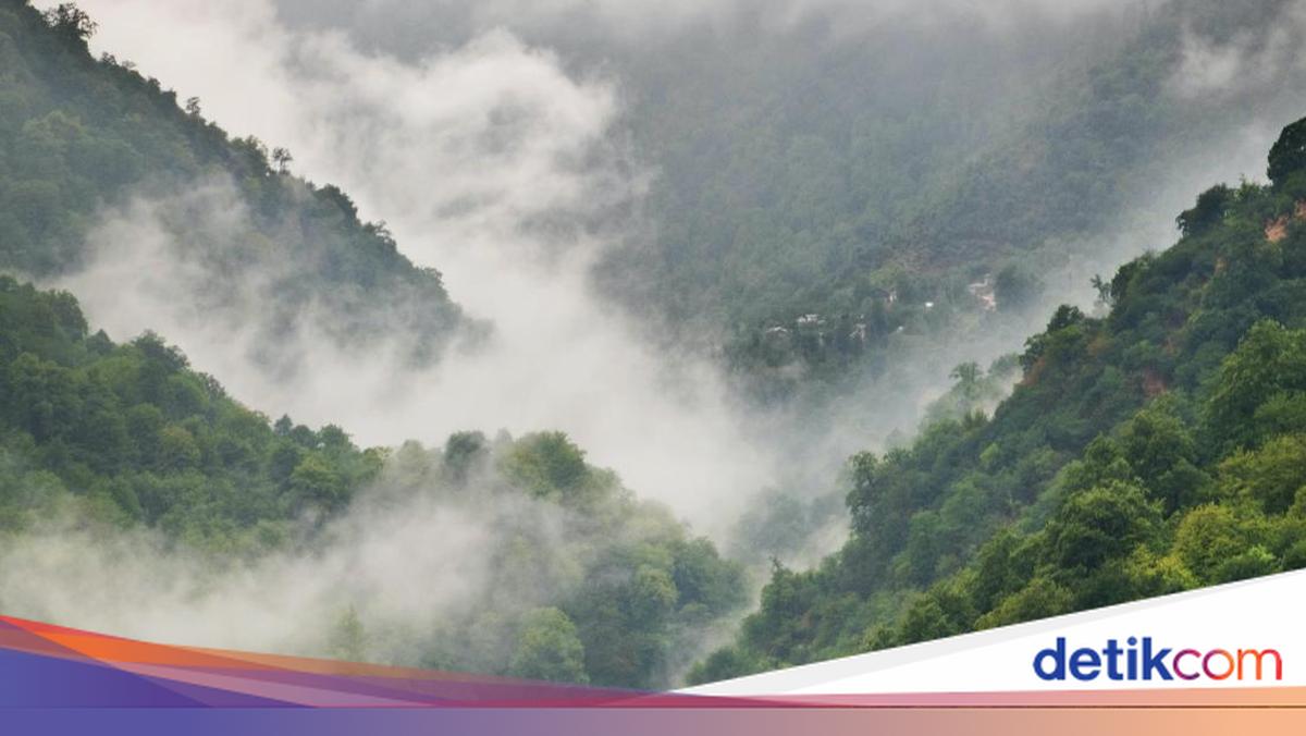 Prakiraan Cuaca DIY Hari Ini: Kaliurang Berkabut