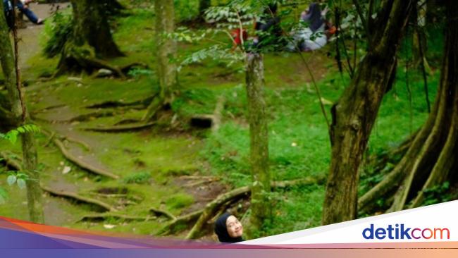 Pemprov DKI Mau Beli Lahan Rp 300 M di Kemang, Pengamat Wanti-wanti Ini