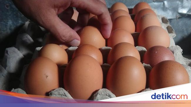 Siasat Zulhas Turunkan Harga Telur: Pemerintah Bayarin Ongkirnya