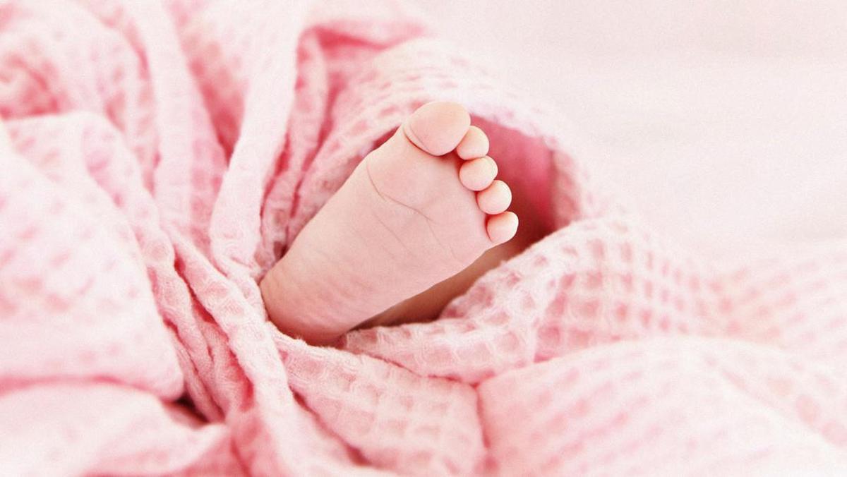 Respons IDAI soal Viral Bayi 1,5 Tahun Hipotermia saat Dibawa Ortu Naik Gunung