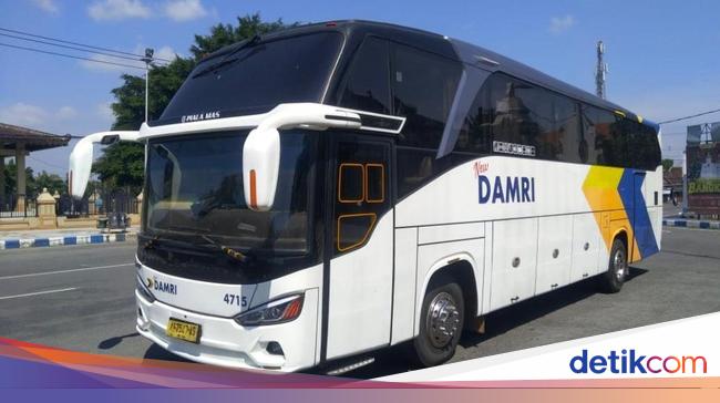 Jokowi Restui Damri dan PPD Dilebur