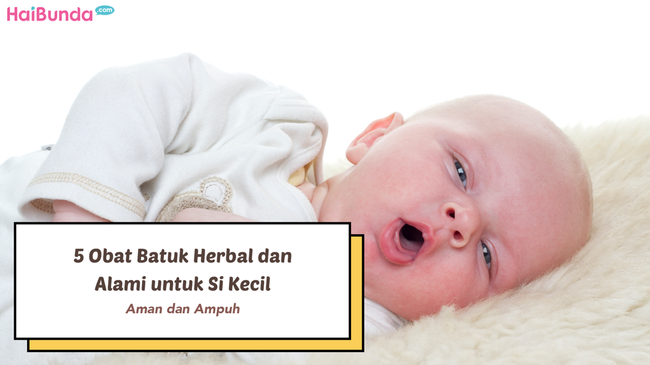 Aman dan Ampuh, 5 Obat Batuk Herbal dan Alami untuk Si Kecil