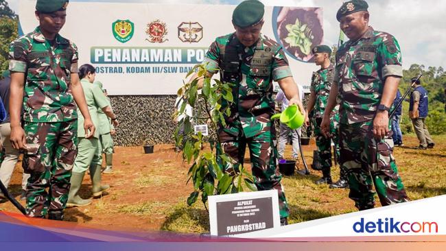 Cegah Banjir-Longsor, Pangkostrad Tanam Ribuan Pohon di Kabupaten Bandung