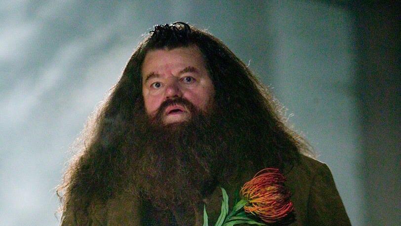 Robbie Coltrane Pemeran Hagrid Meninggal Dunia