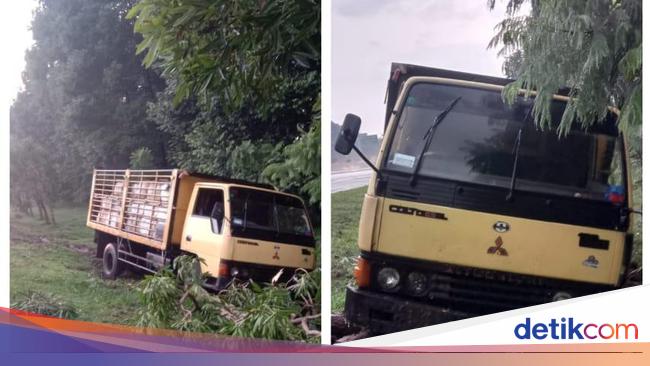 Hilang Kendali, Truk Terperosok ke Rerumputan di Tol Jagorawi