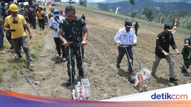 Dukung Ketahanan Pangan, Pangkostrad Serahkan Lahan Jagung-Sorgum di NTT