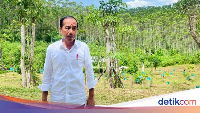 Jokowi Tinjau Progres Pembangunan Infrastruktur IKN, Ini Hasilnya