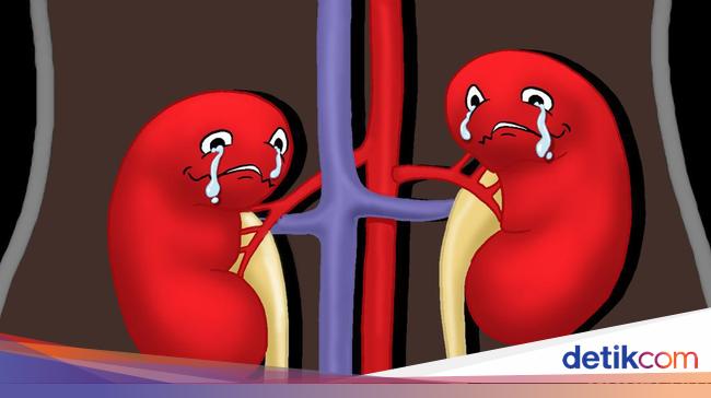 Total 135 Kasus, 63 Meninggal