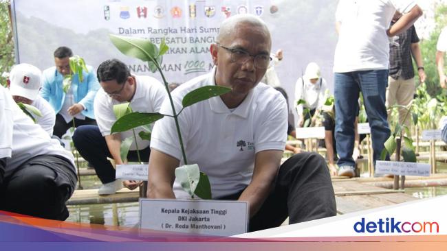 Peringati Hari Sumpah Pemuda, Kejati DKI Tanam 1.028 Mangrove di Penjaringan