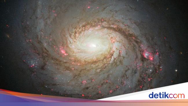 Partikel Misterius dari Galaksi Terdekat Sembunyi di Bawah Antartika