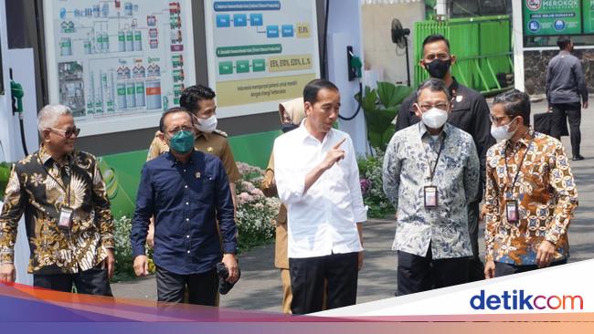 Petani Keluhkan Harga Pupuk Naik, Jokowi Sebut Gara-gara Perang
