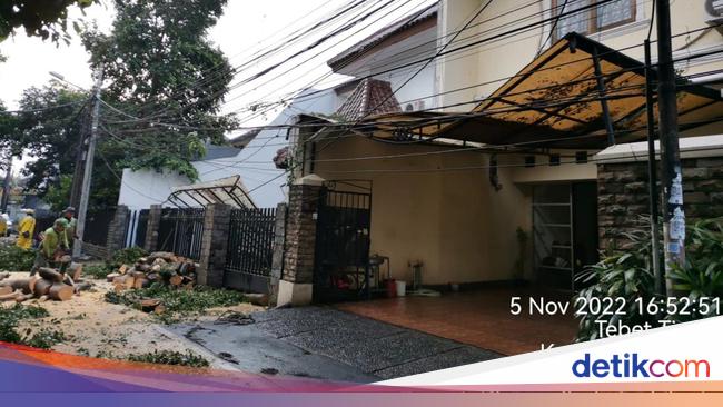 Pohon Tumbang Timpa Dua Rumah-Satu Mobil di Tebet