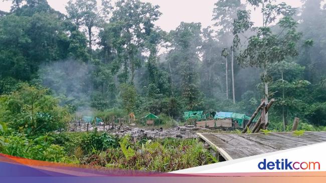 Markas Pekerja Tambang di Papua Diserang OTK, 1 Orang Tewas