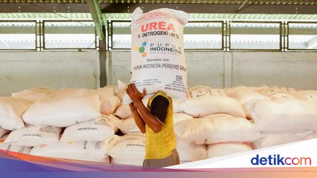 Terima Laporan Pupuk Subsidi Dijual di Atas HET, Ombudsman Mau Cek