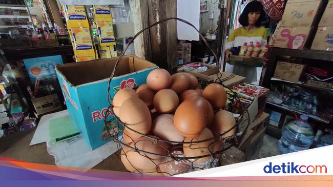 Biang Kerok hingga Imbas Harga Telur dan Ayam yang Masih Mahal