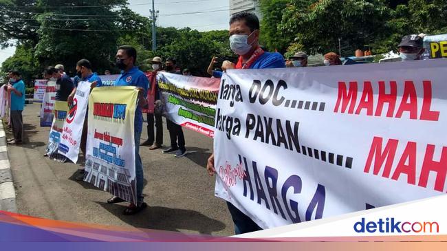 Usai Didemo, Zulhas Bakal Atur Waktu Bertemu Peternak Ayam