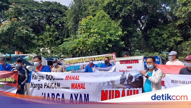 Peternak Unggas Demo di Depan Kemenko Perekonomian, Ini Tuntutannya