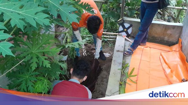 Bayi 8 Bulan di Pangandaran Disiksa hingga Tewas, Dikubur Samping Kolam Udang