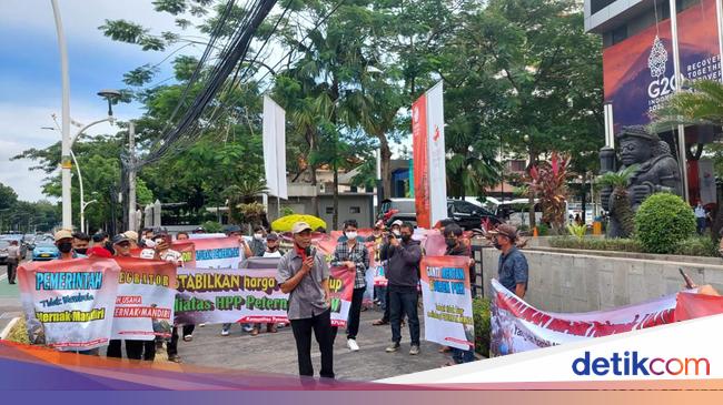 Pemerintah Diminta Serap Ayam Peternak Mandiri 1,5 Juta Ekor/Minggu