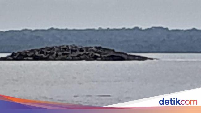 'Pulau Baru' Muncul Usai Gempa M 7,5 Maluku Akibat Patahan