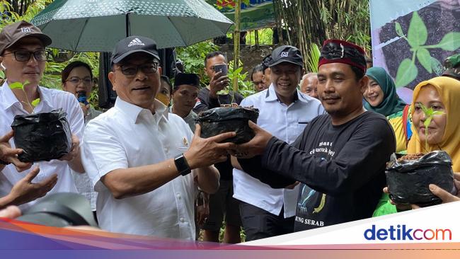 KSP Beri 25 Ribu Bibit Cabai ke Warga Depok: Bantu Tekan Inflasi