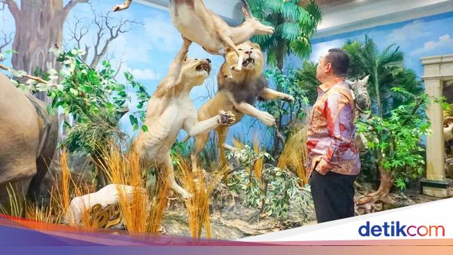 Koleksi Museum Satwa Dunia di Medan Bikin Bamsoet Terkesima