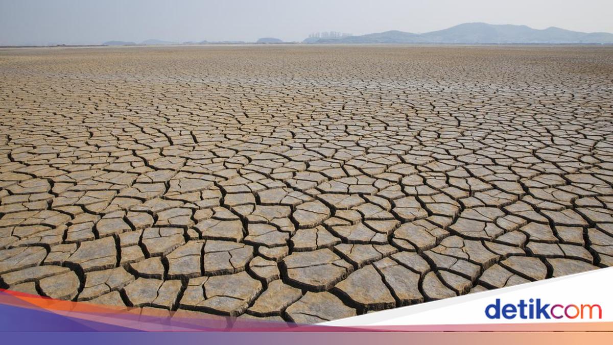 Apa Perbedaan Kemarau dan El Nino? Simak Pengertiannya!