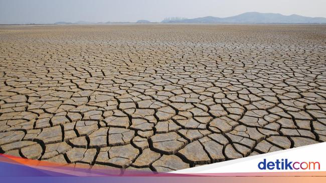 BMKG Imbau Warga Banten Waspada Musim Kemarau Lebih Kering Tahun Ini