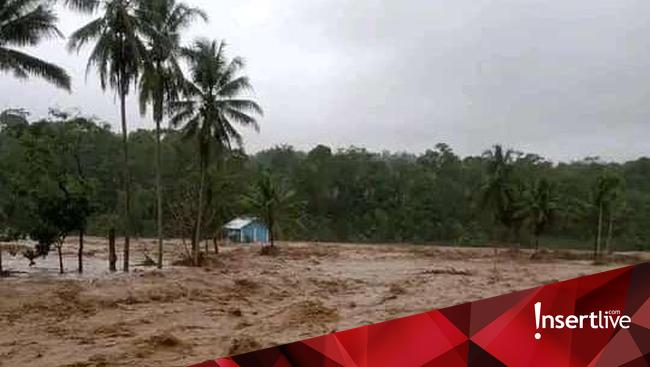 Ada BUMN, 4 Perusahaan Pemicu Banjir Sumatera ini Disegel