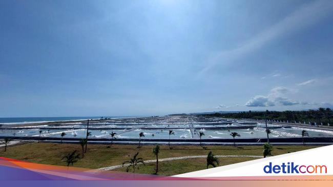 Tambak Modern 1.800 Ha Bakal Dibangun di Sumba NTT