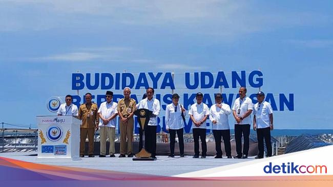 3 Fakta Tambak Udang Terbesar se-RI yang Diresmikan Jokowi