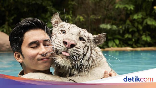 Alshad Ahmad Diam-diam Nikah dan Ceraikan Nissa Asyifa, Tiara Andini Banjir Doa