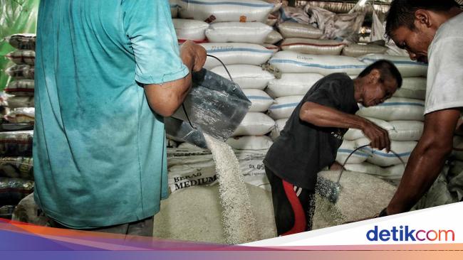 80 Ribu Ton Beras Impor dari Vietnam-Thailand Masuk RI, 270 Ribu Ton Masih OTW