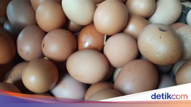 Siap-siap! Besok Bansos Telur dan Ayam Mulai Meluncur