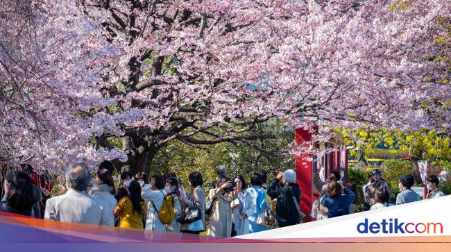 Tahun 2070, Jepang Berpotensi Menuju Lenyap