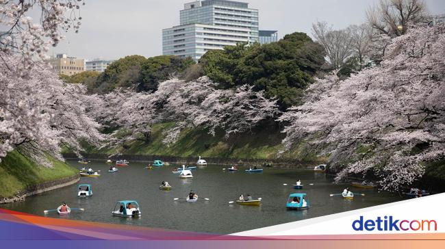 Jepang Wajibkan WNI Tes TBC Mulai April 2024, Ini Penjelasan Kemenkes