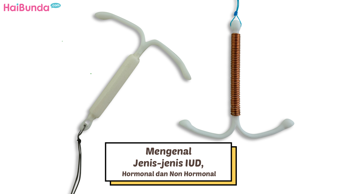 Apa Itu Iud Hormonal Apa Itu Iud Hormonal