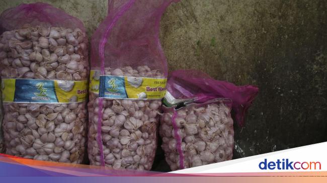 Ombudsman Cium Aroma Tak Sedap Impor Bawang Putih, Dirjen Kementan Buka Suara