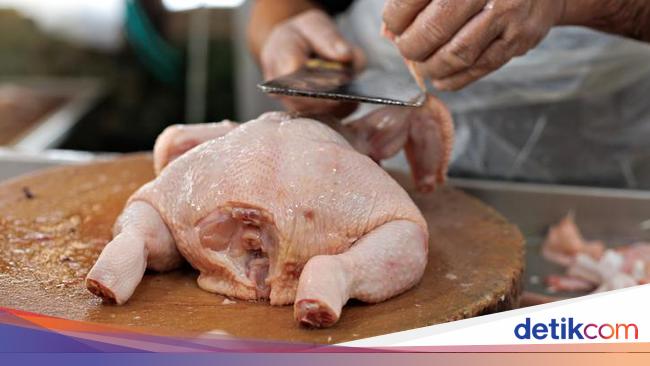 Harga Ayam Tembus Rp 50.000/Kg, Jokowi Turun Tangan