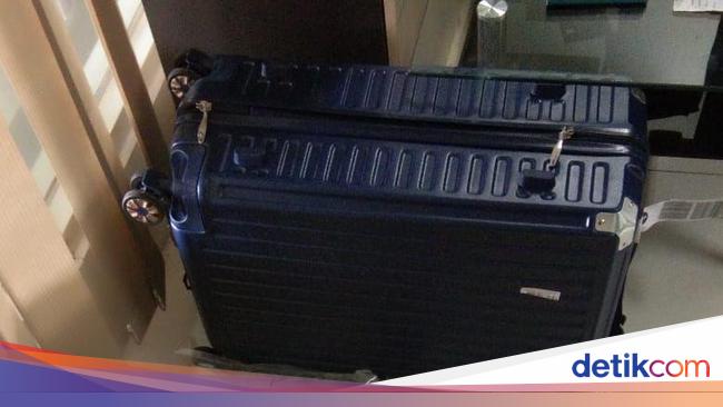 Jelang Lebaran, KKP Gagalkan Penyelundupan 212.536 Benih Lobster