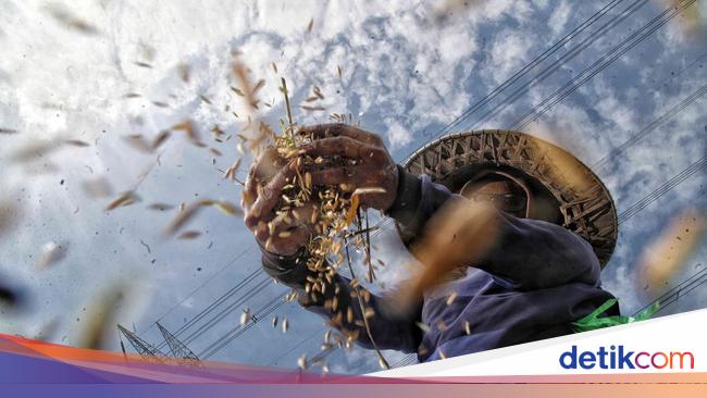 Waspada! El Nino Diprediksi Berdampak ke Pariwisata hingga Harga Pangan