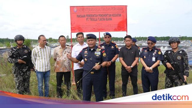 KKP Setop Operasi Tambak Udang di Batam, Ini Akar Masalahnya