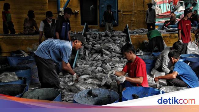 Membaca Dialektika Kebijakan Penangkapan Ikan Terukur