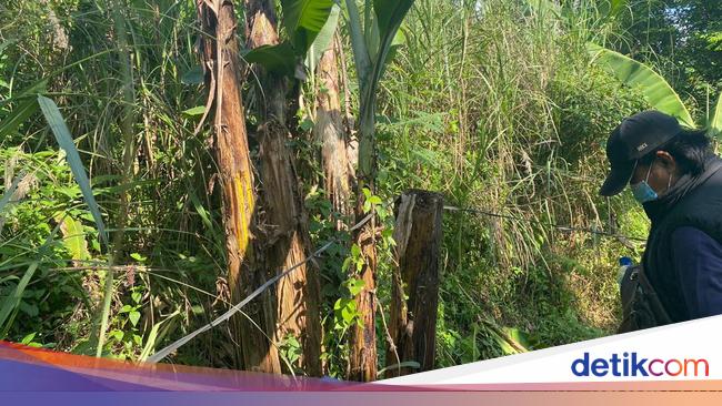 Polisi Temukan Sisa Pembakaran di Sekitar Mayat Pria Telanjang di Depok