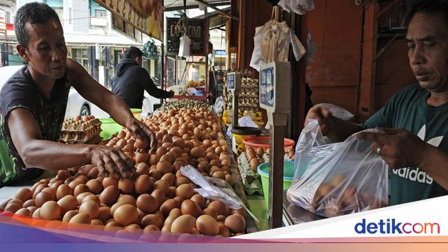 Bos Badan Pangan Akui Harga Telur Nggak Wajar, Tembus Rp 38.000/Kg