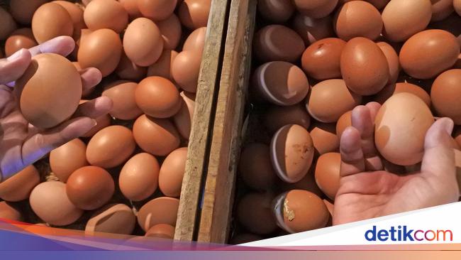 Gila! Harga Telur Tembus Rp 40.000/Kg, Pedagang Ungkap Biang Keroknya