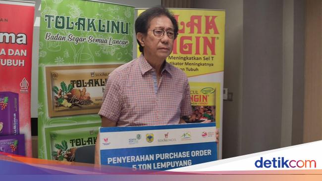 Perkuat Bahan Baku Jamu, Sido Muncul Pesan 5 Ton Lempuyang di Bondowoso